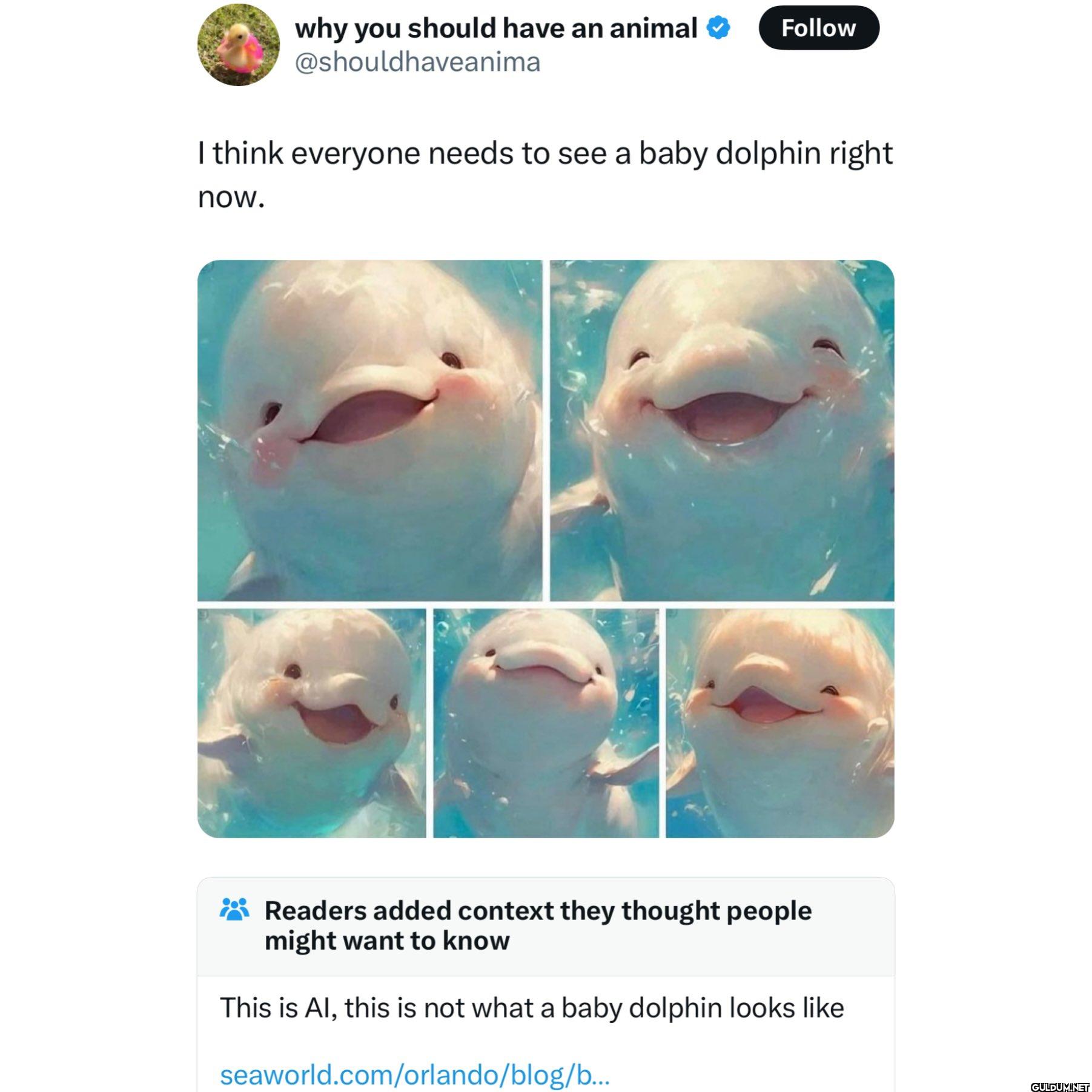 Still cute!    why you...