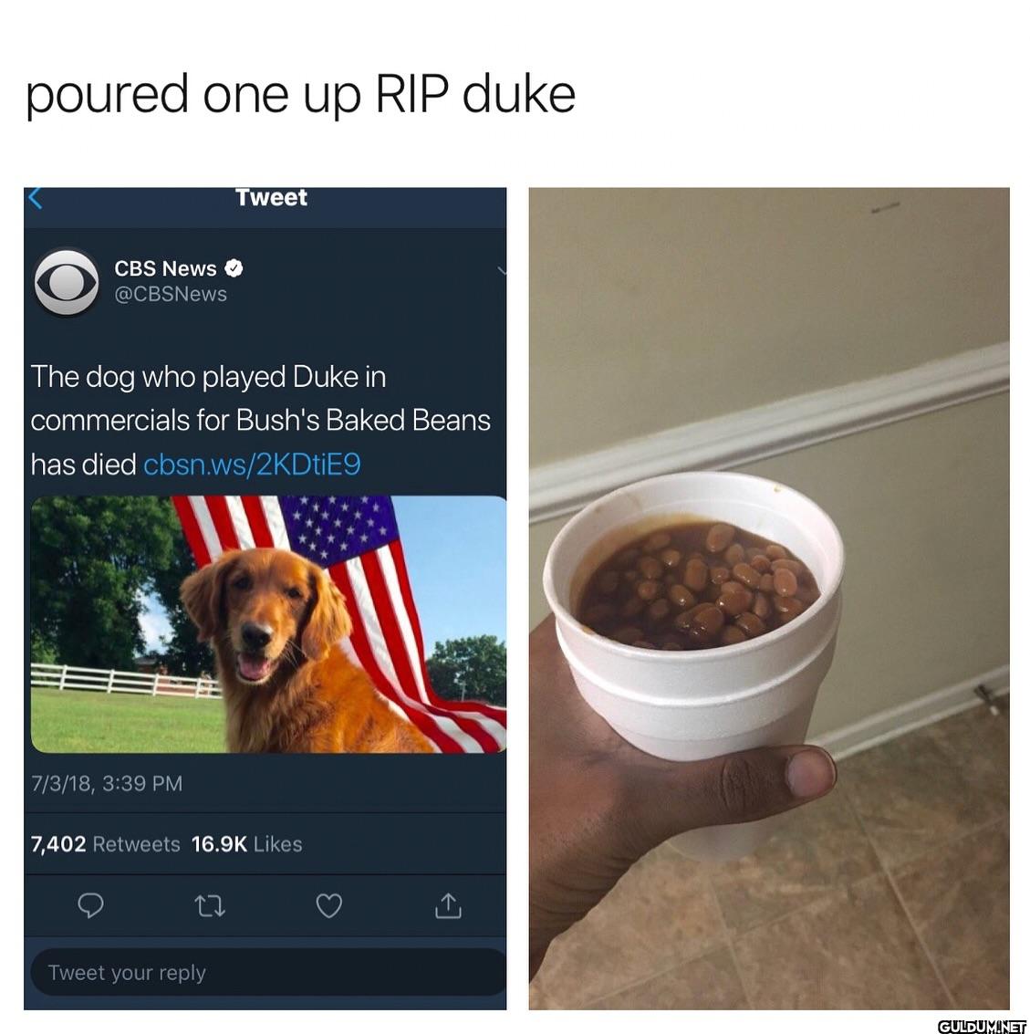 ︎ ︎ ︎ ︎    poured one up...