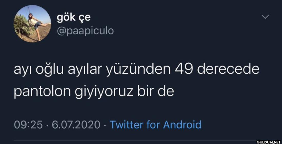 ayı oğlu ayılar yüzünden...