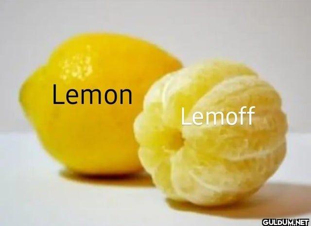 ︎ ︎ ︎ ︎︎ ︎ ︎ ︎    Lemon Lemoff