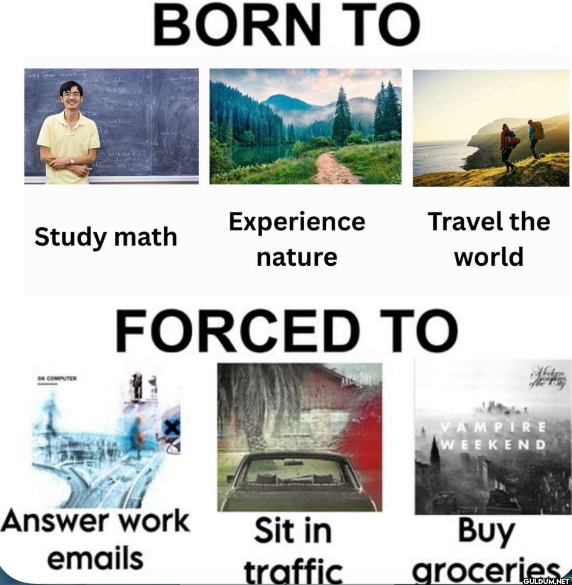 BORN TO Study math...