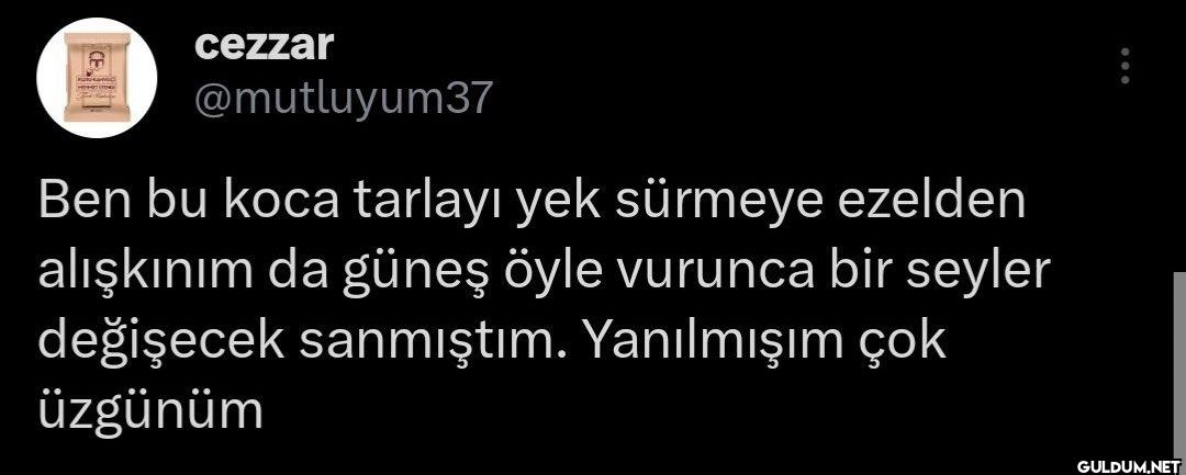 Ben bu koca tarlayı yek...