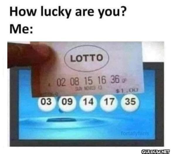 Pretty much.    How lucky...