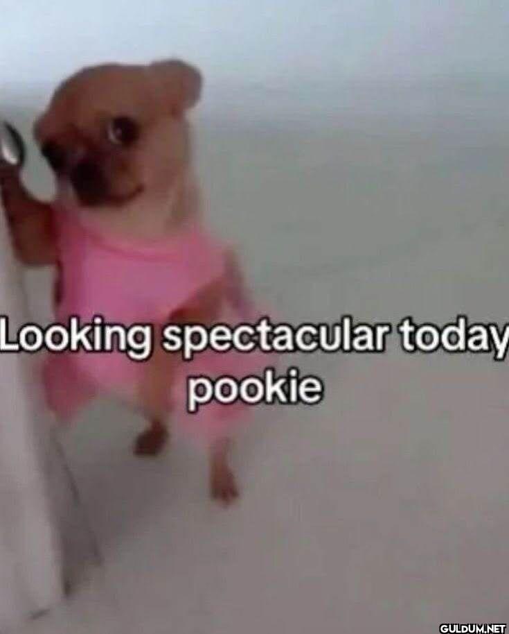 Looking spectacular today pookie