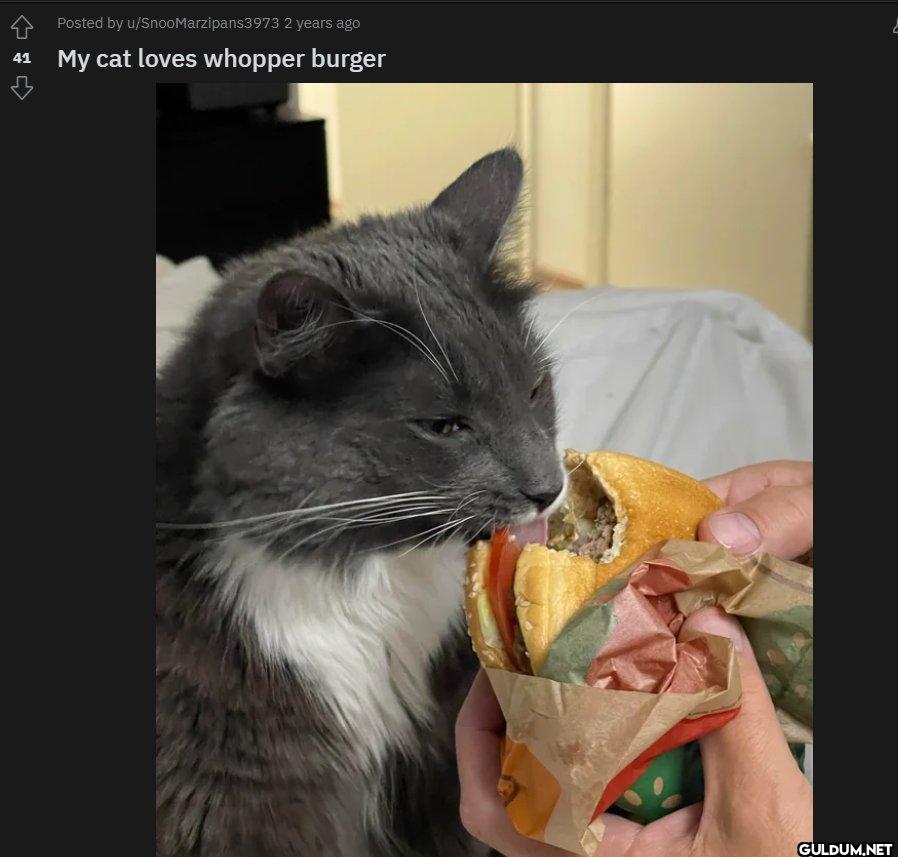 41 Posted by...