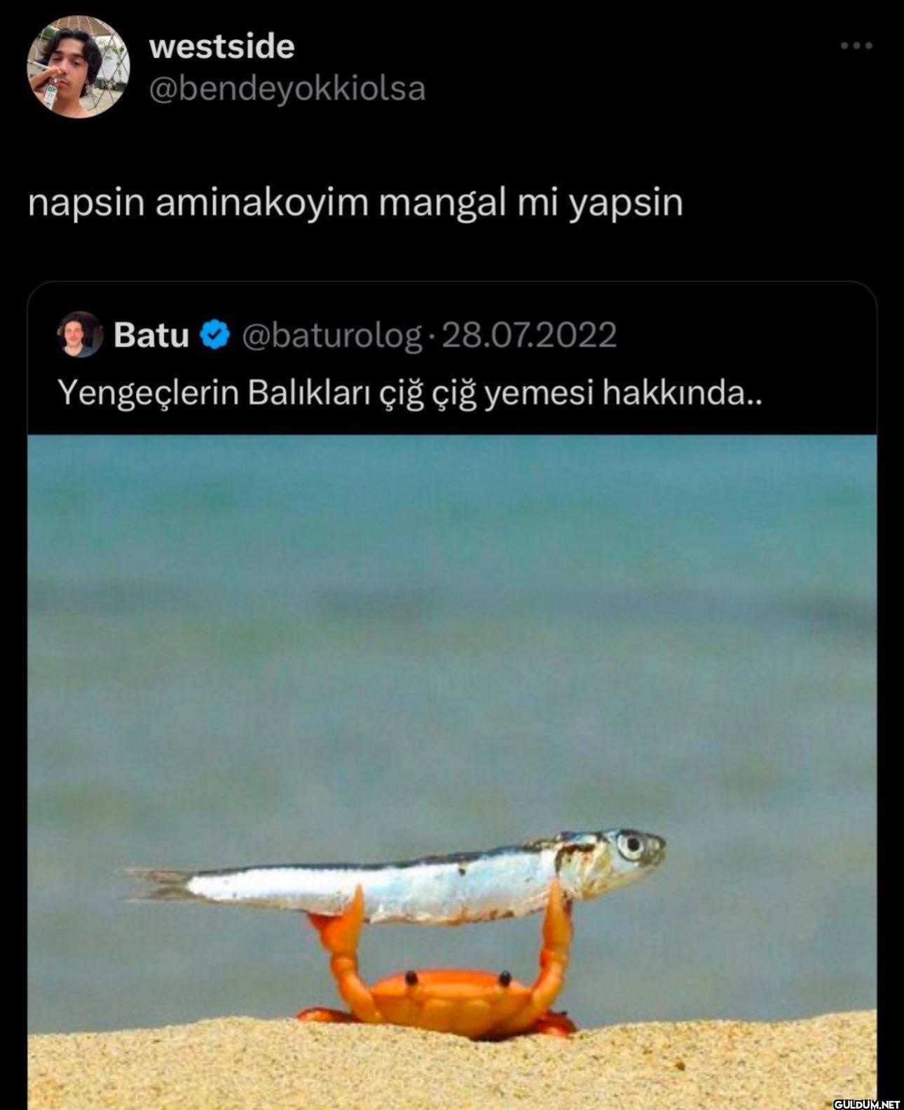 napsin aminakoyim mangal...