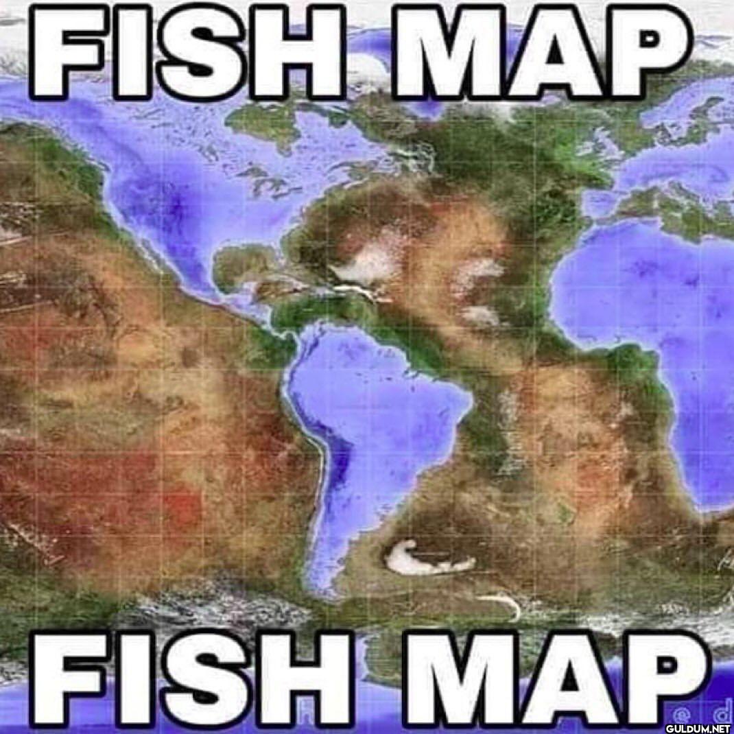 FISH MAP FISH MAP