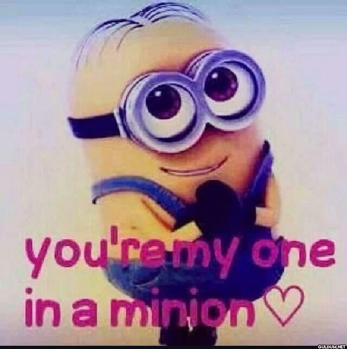 you're my one in a minion