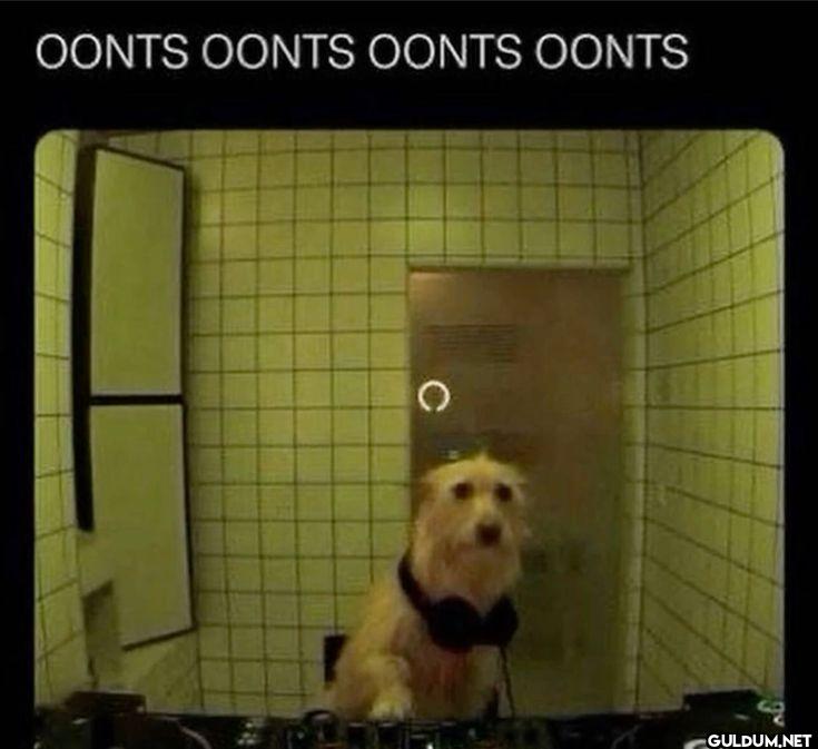 OONTS OONTS OONTS OONTS