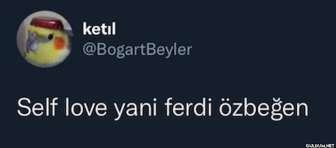 Self love yani ferdi özbeğen