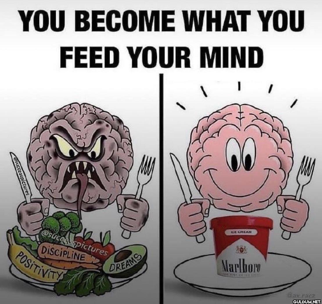 YOU BECOME WHAT YOU FEED...