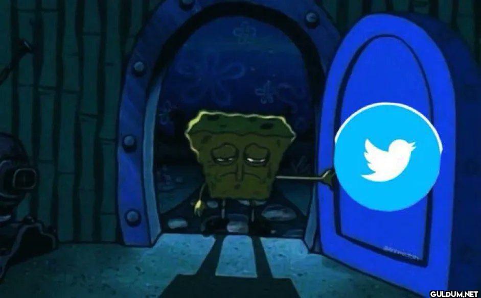 me: *closes twitter*   my...