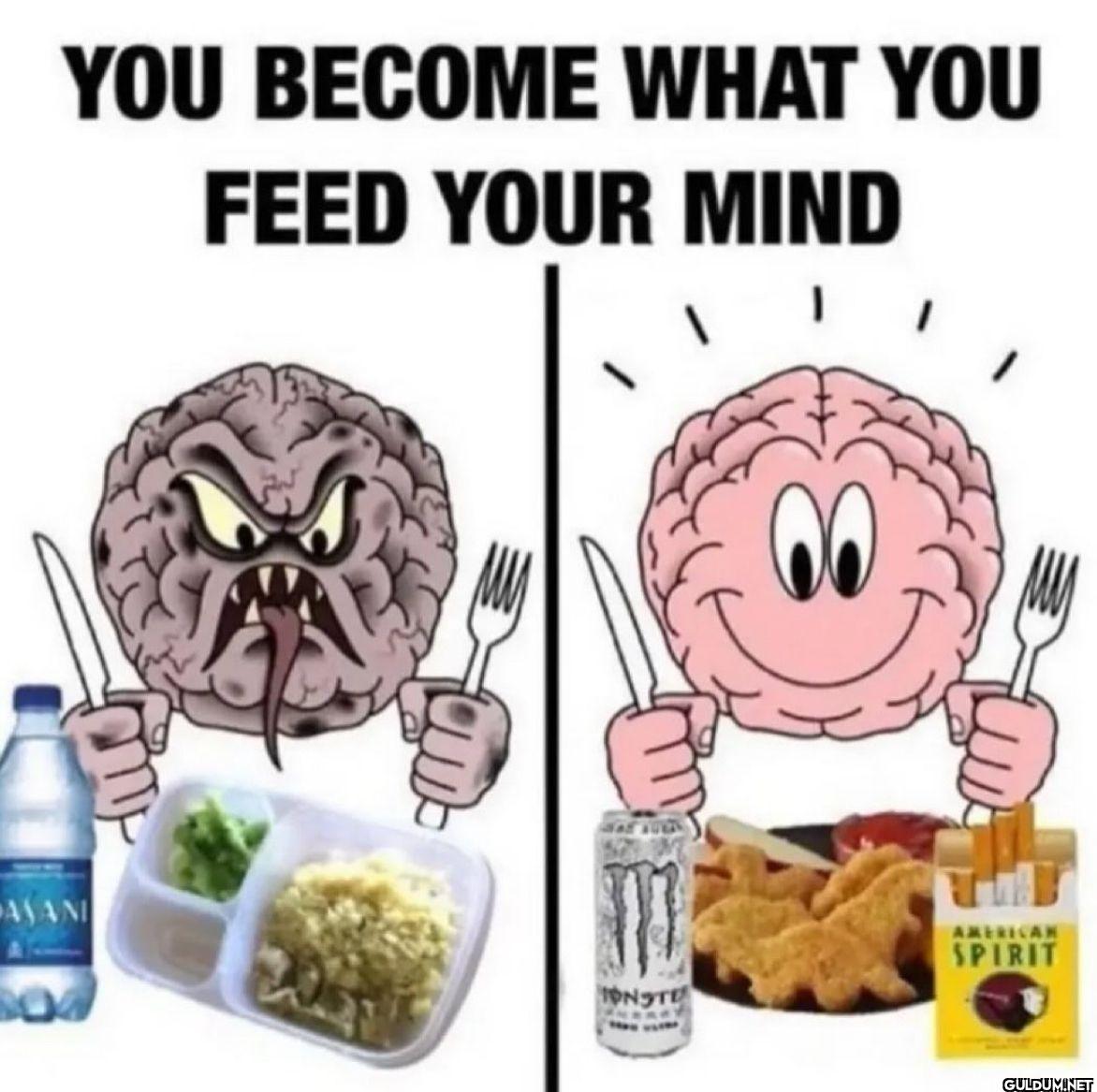 YOU BECOME WHAT YOU FEED...
