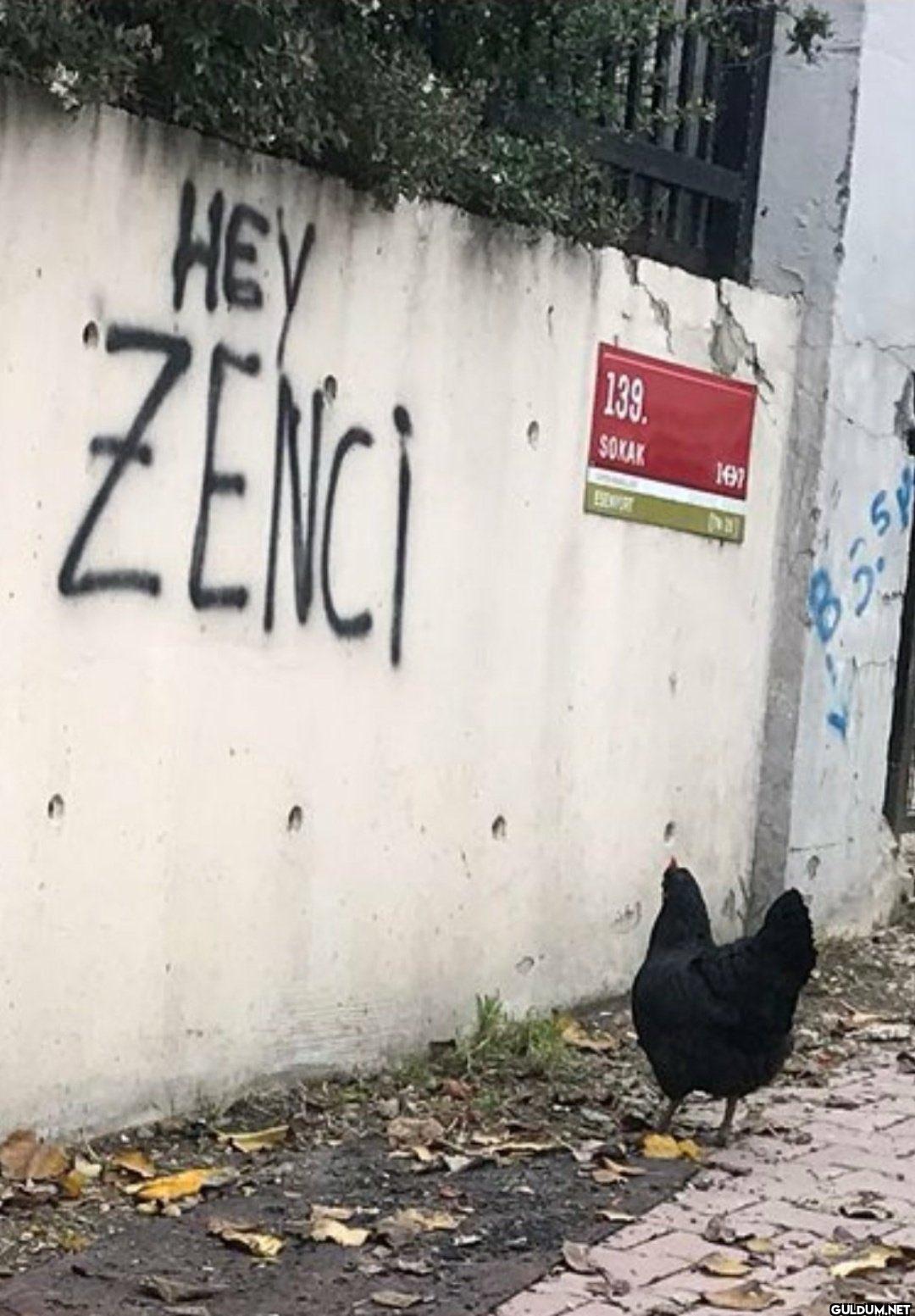 HEY ZENCI 139. SOKAK ESENPORT 197
