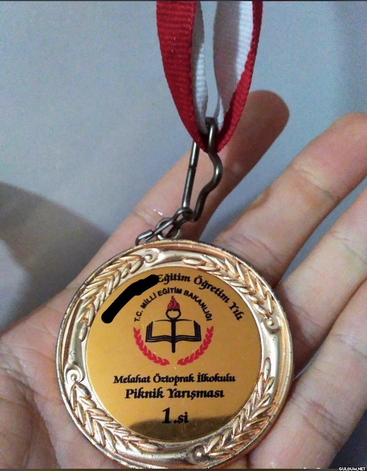 Tek başarım    T.C. MILLI...