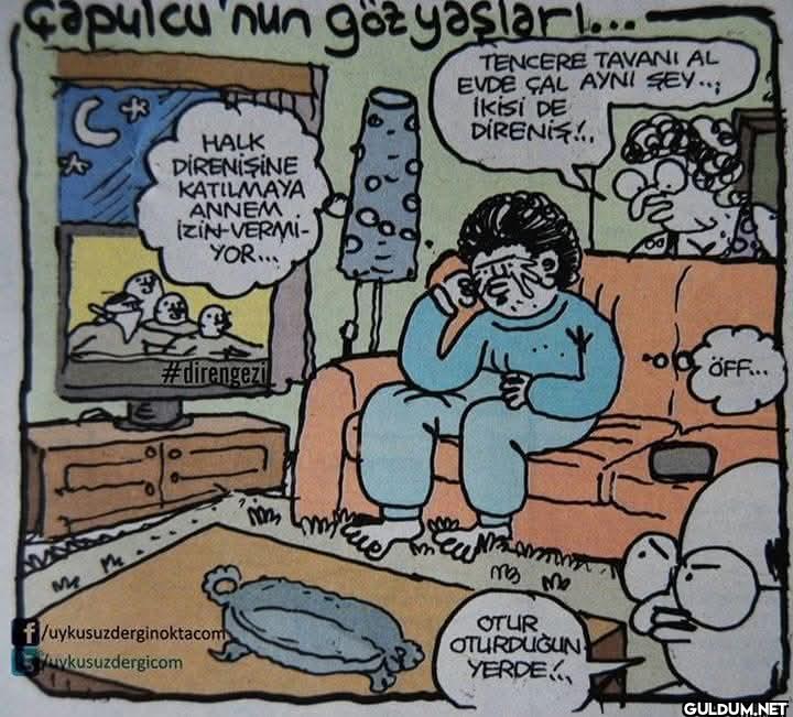 2013 YILINDA BAŞBAKANIN...