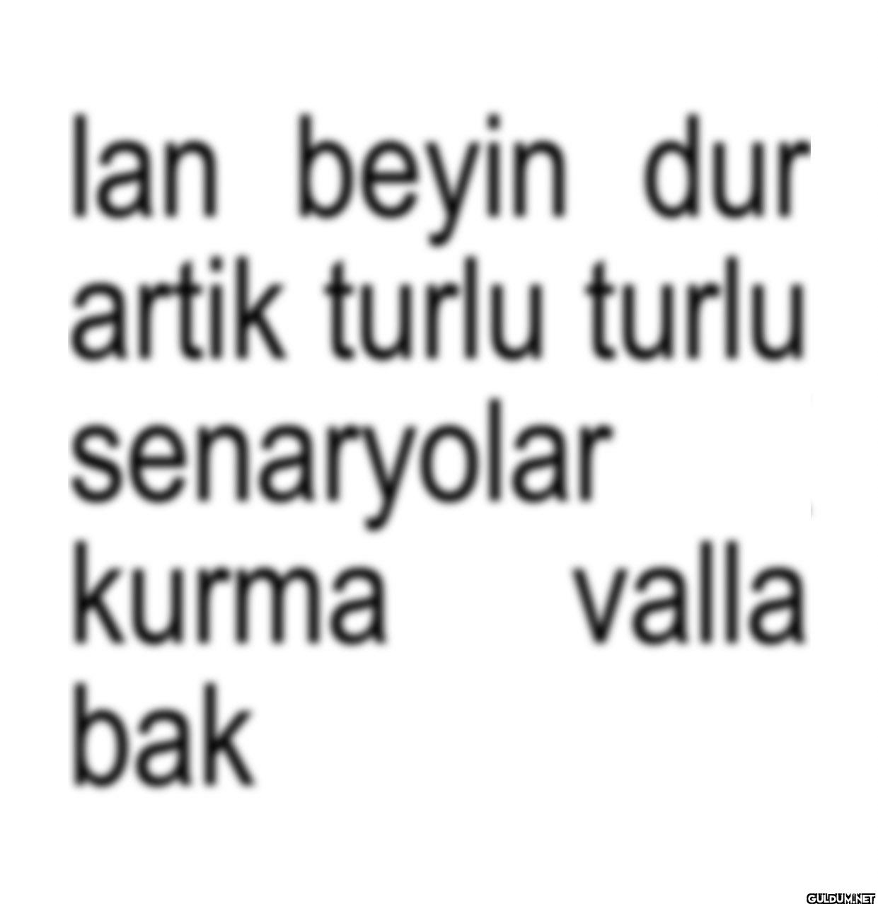 lan beyin dur artik turlu...