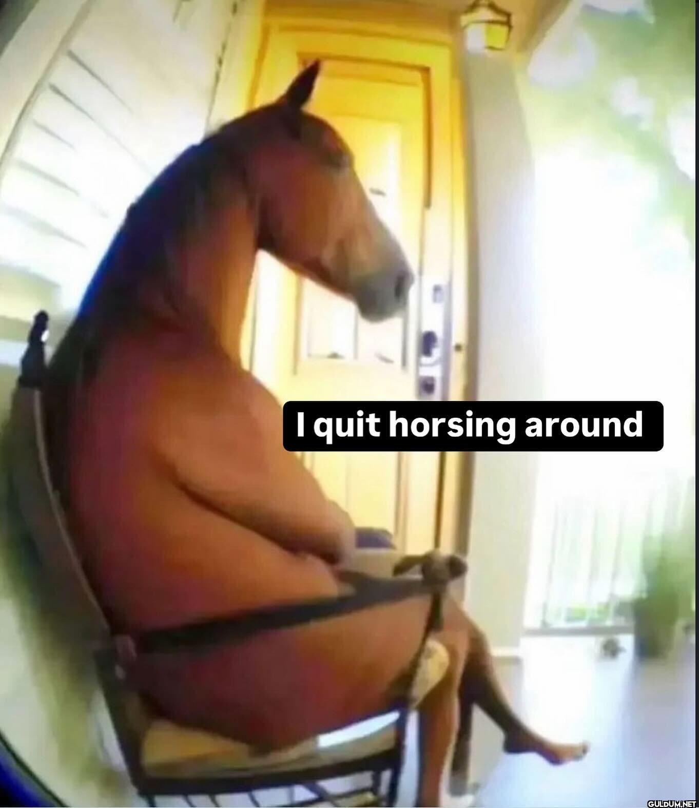 I quit horsing around
