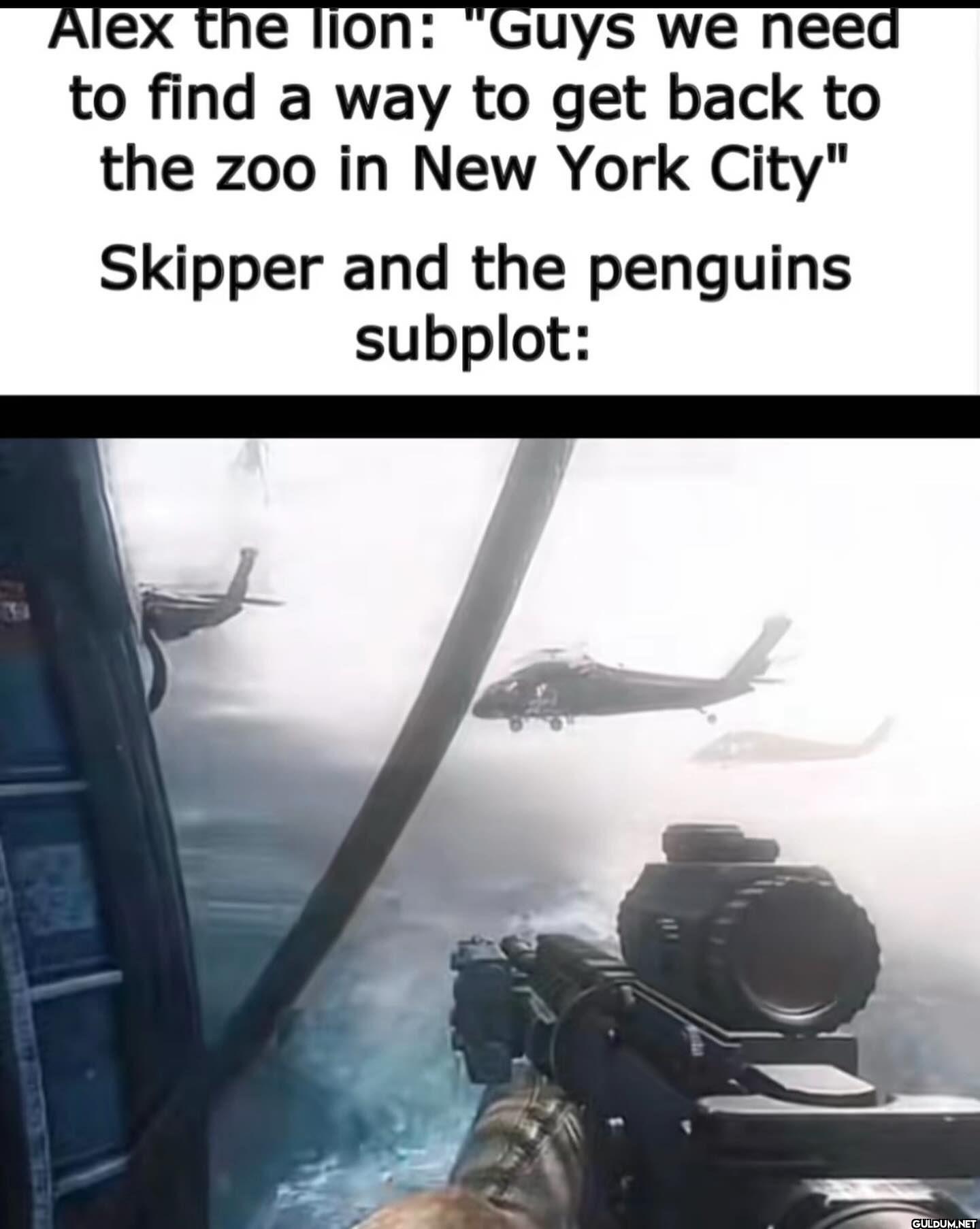 Alex the lion Guys we need...