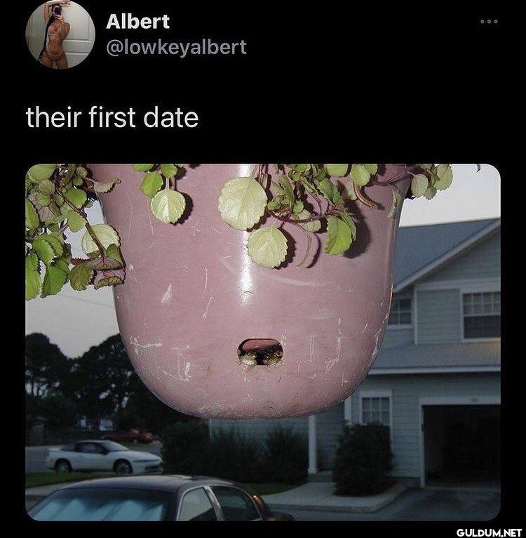 their first date