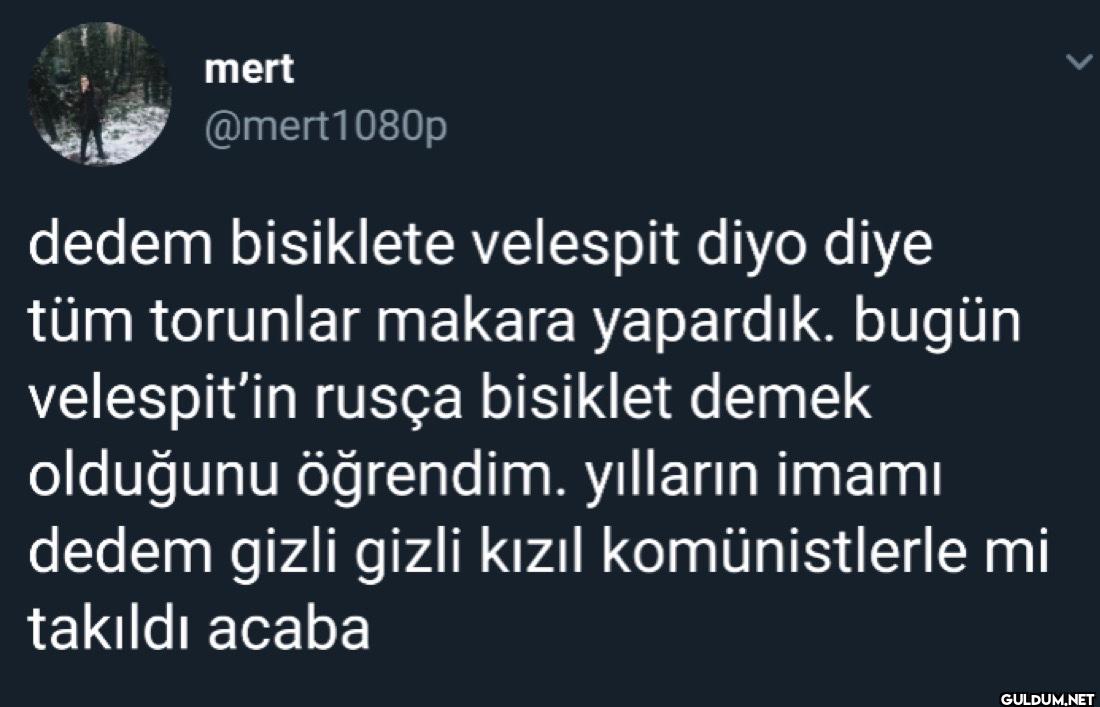dedem bisiklete velespit...