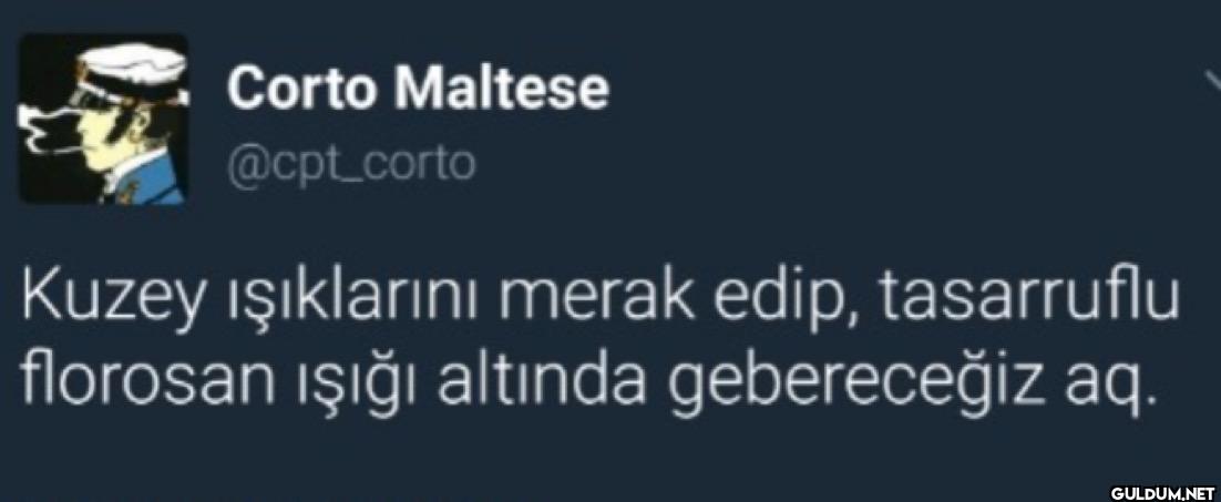 Kuzey ışıklarını merak...