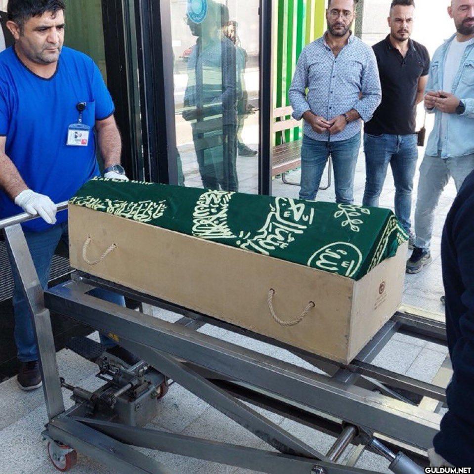 Cinsel istismar ve şiddete...