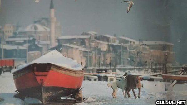 Yenikapı. 1962