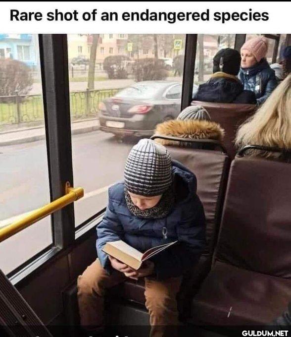 The reality.    Rare shot...