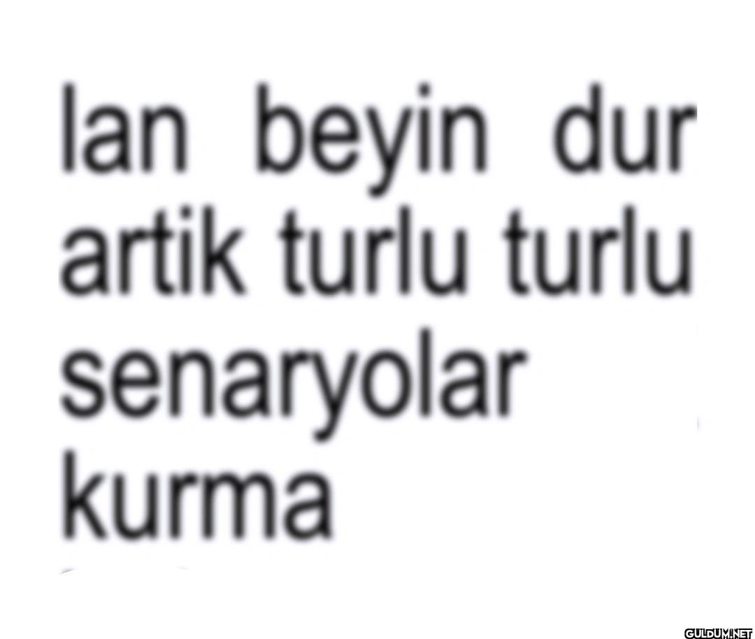 lan beyin dur artik turlu...