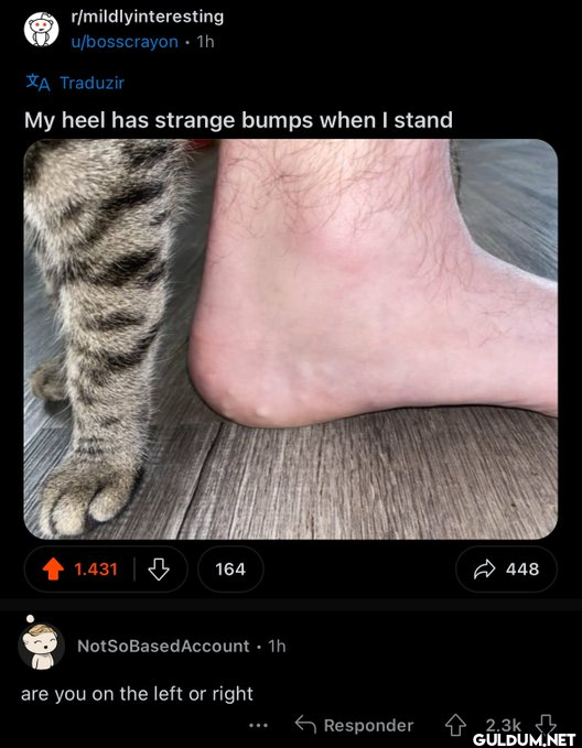 r/mildlyinteresting...