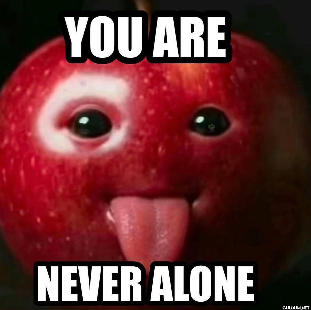 YOU ARE NEVER ALONE