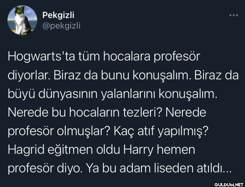 Hogwarts'ta tüm hocalara...