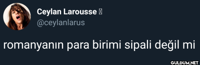 romanyanın para birimi...