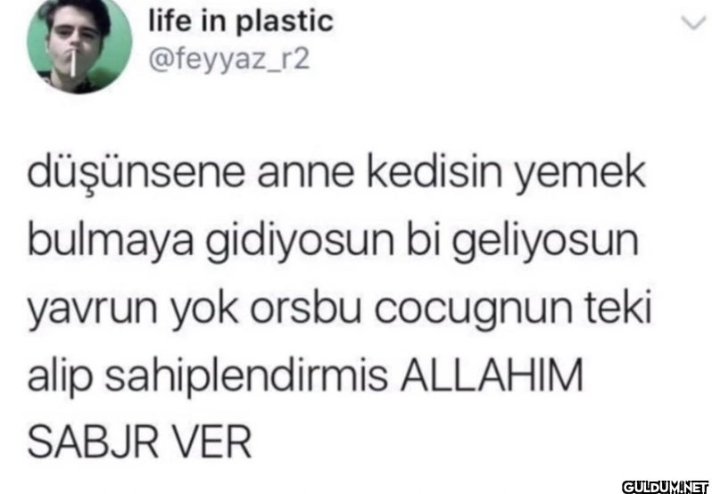düşünsene anne kedisin...