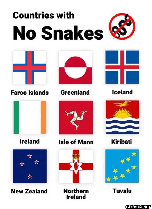 Countries with No Snakes  ...