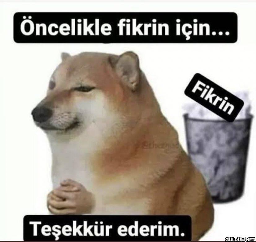 Öncelikle fikrin için......