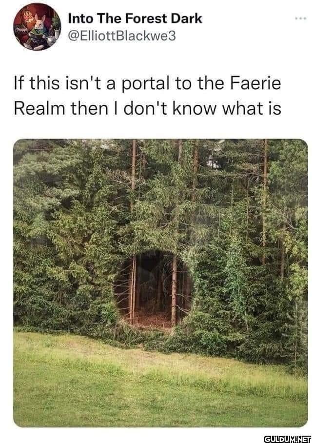 If this isn't a portal to...