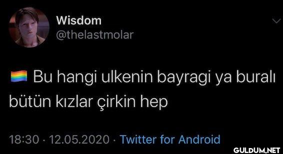 Bu hangi ulkenin bayragi...