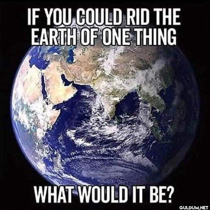 Let's hear it 👀    IF YOU...