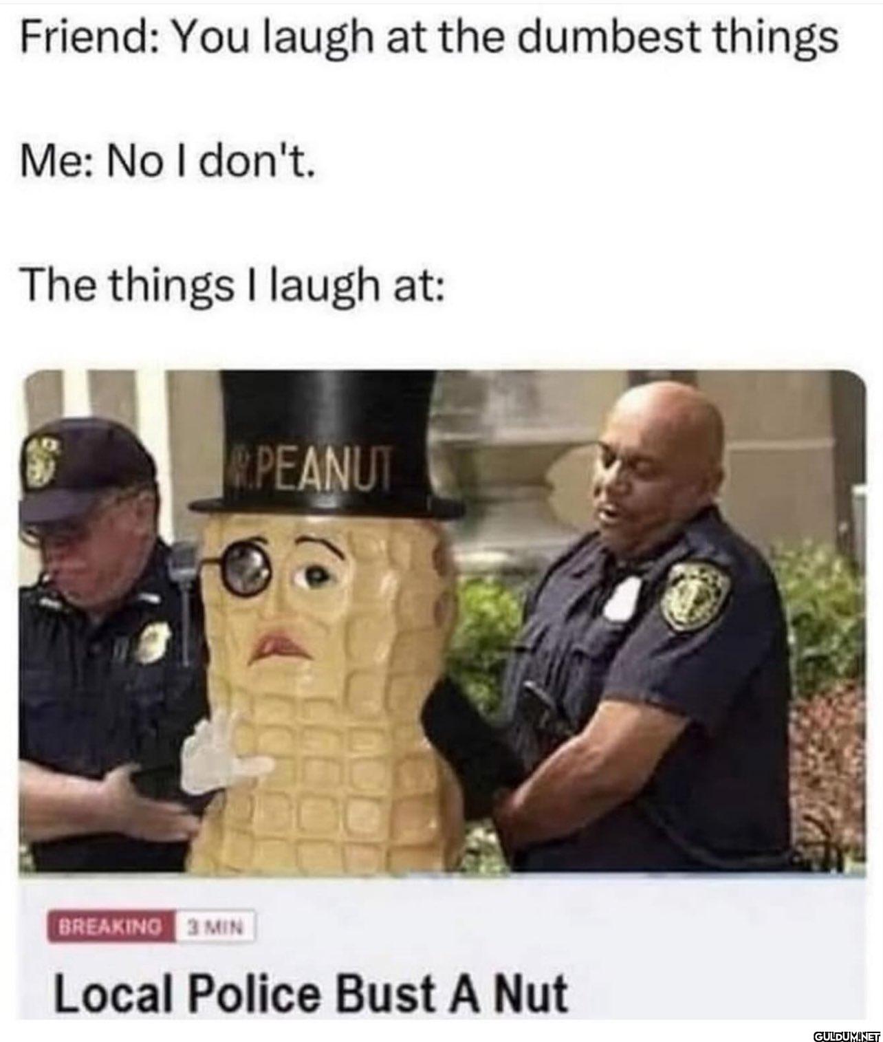 Friend: You laugh at the...