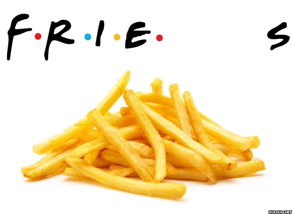 ︎ ︎ ︎ ︎ ︎    F.R.I.E. S
