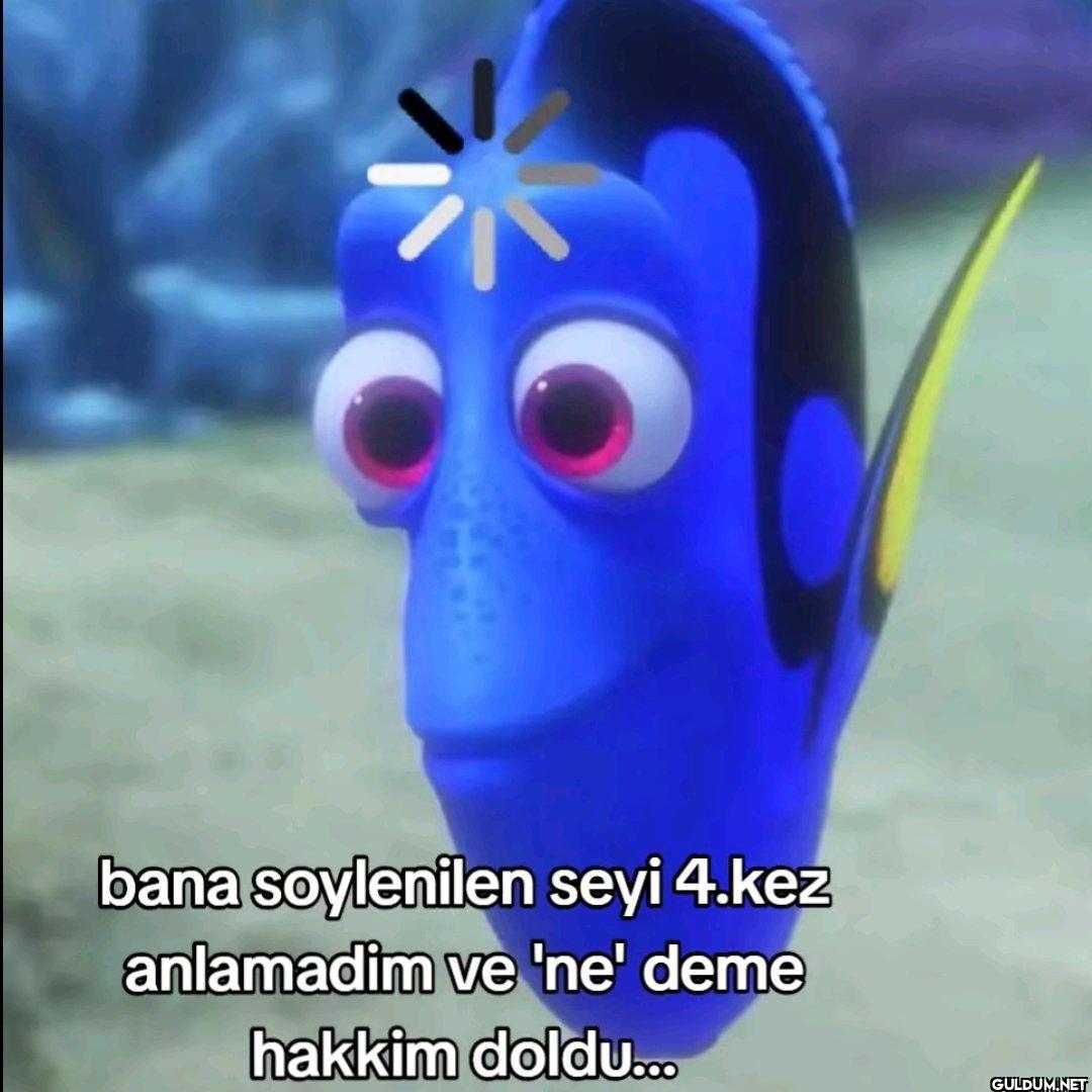 bana soylenilen seyi 4.kez...
