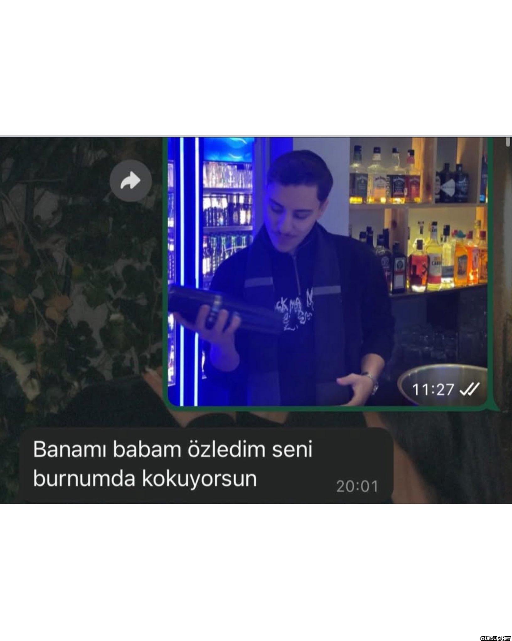 Aileye bak bu elemanın...