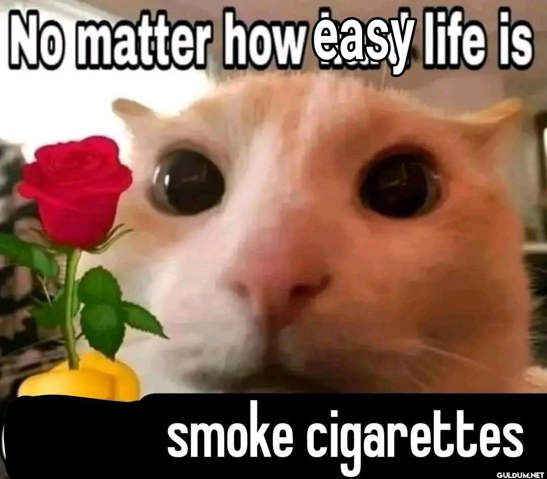 No matter how easy life is...