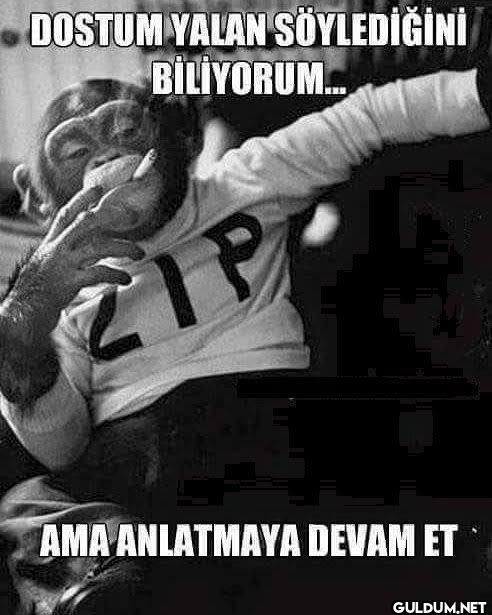 DOSTUM YALAN SÖYLEDİĞİNİ...