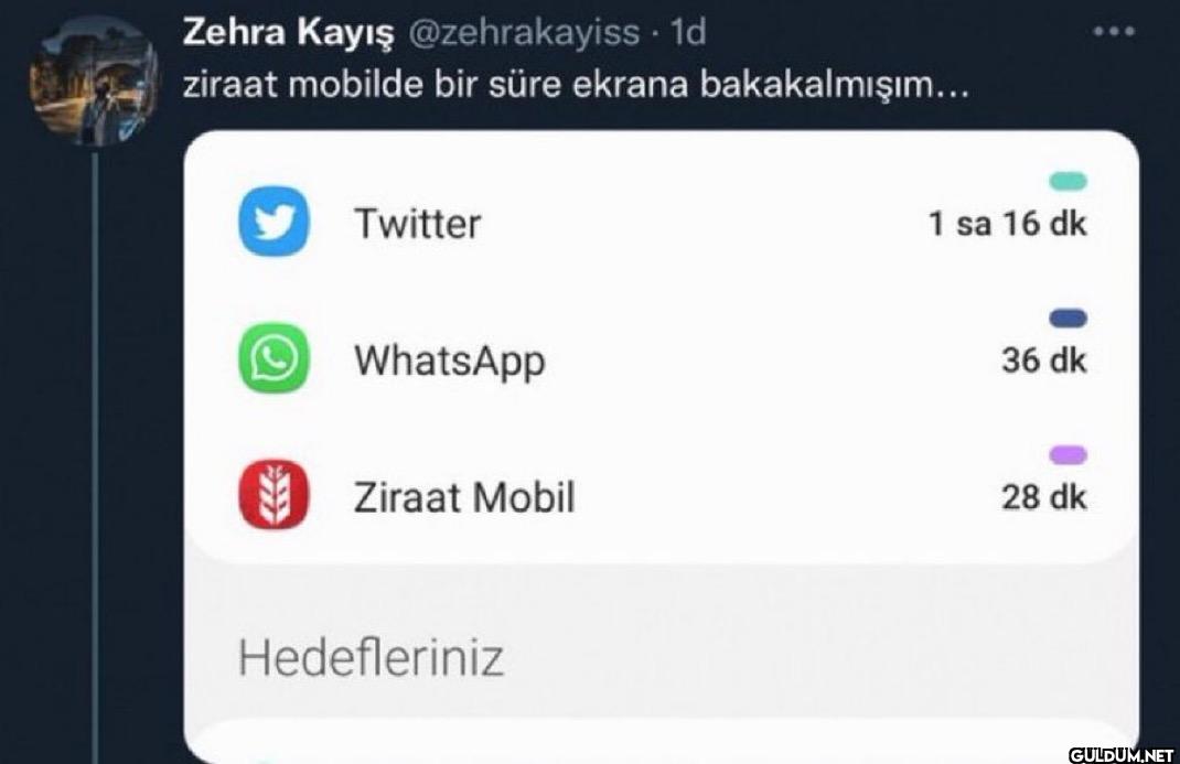 1d ziraat mobilde bir süre...