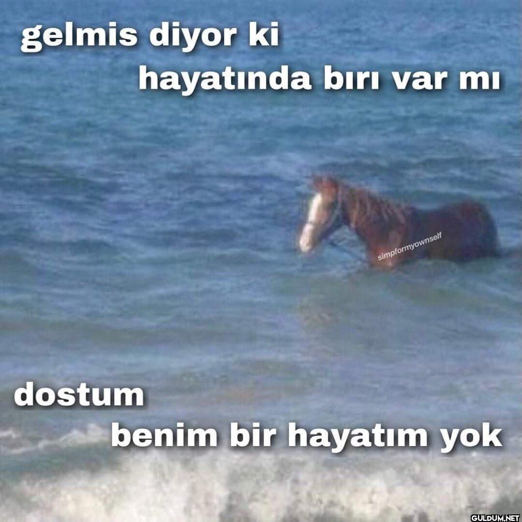 gelmis diyor ki hayatında...