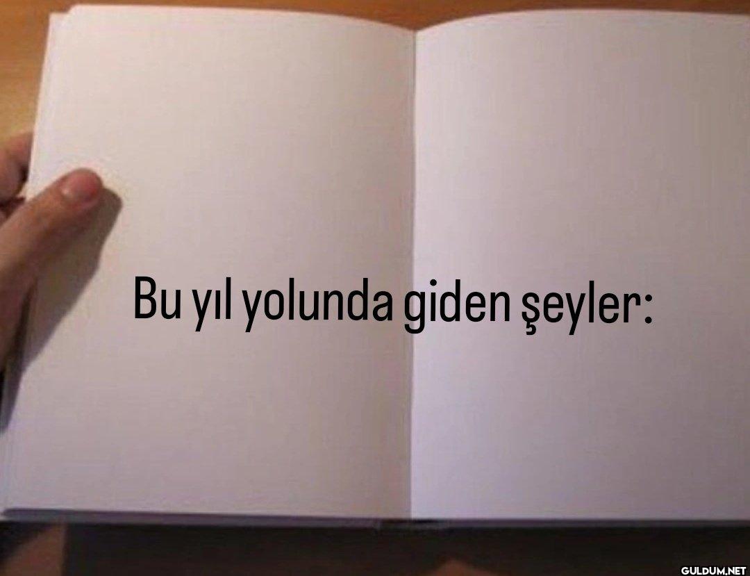 Bu yıl yolunda giden şeyler: