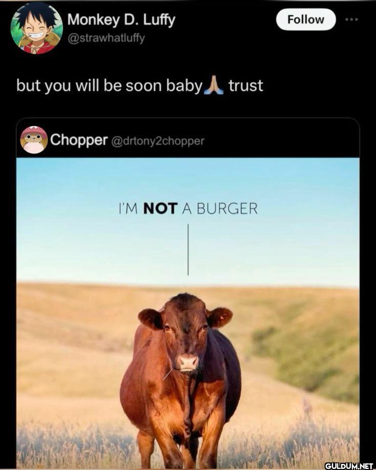 but you will be soon baby...